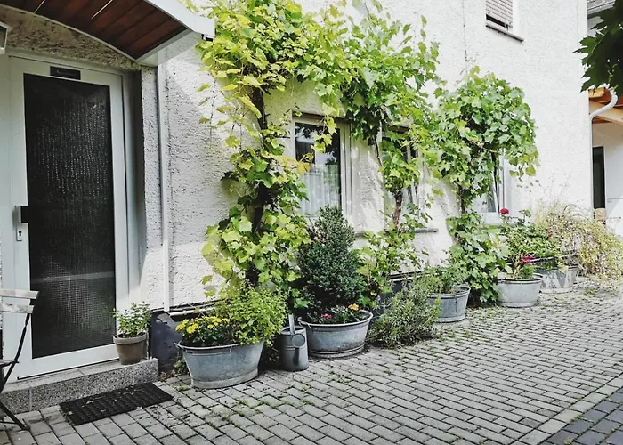 Hotel Meuser